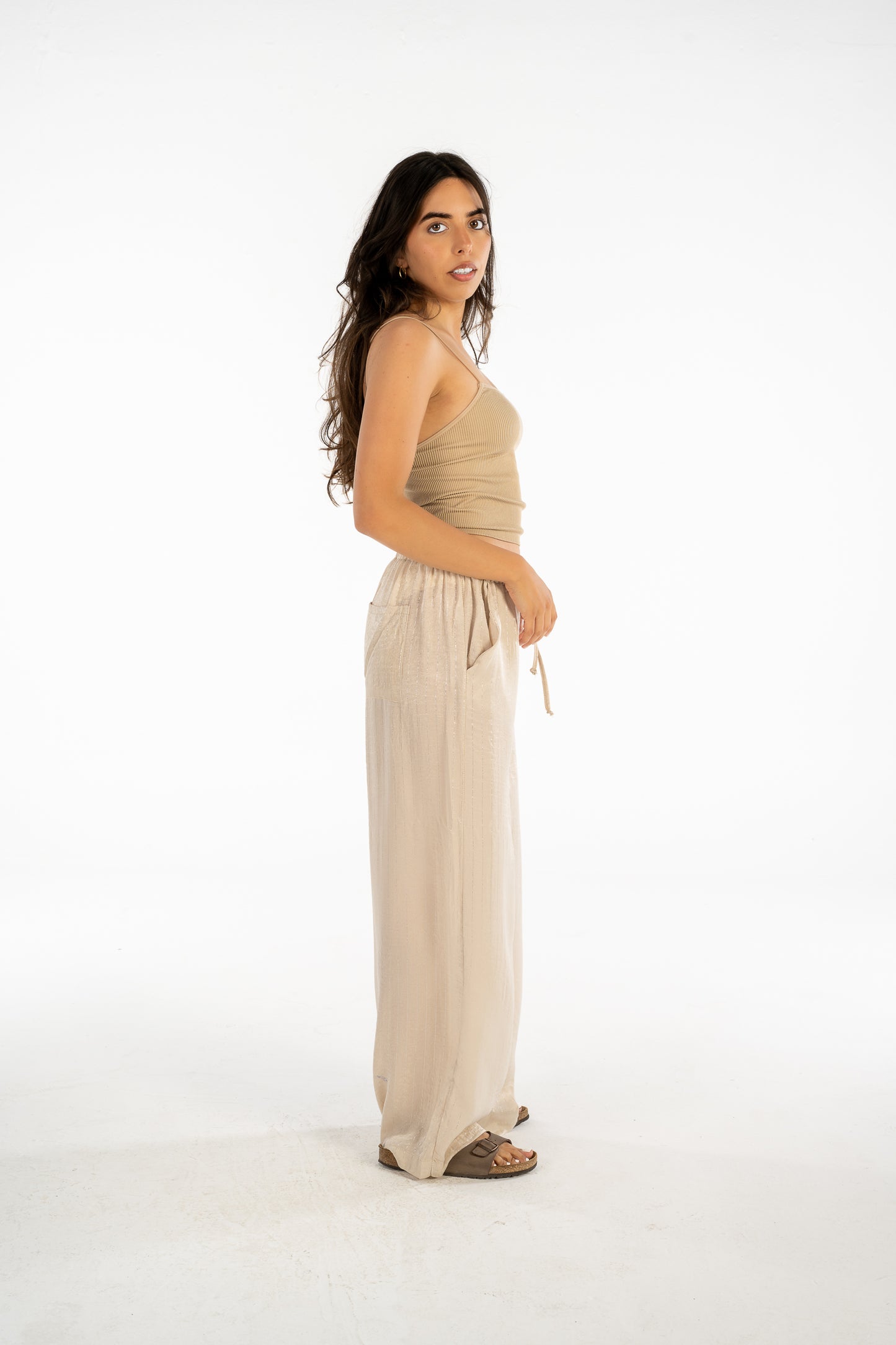 Beige Shimmery-Striped Pants